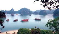 Halong bay cruise